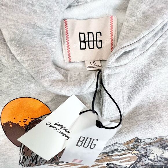 NWT BDG Urban Outfitters Bonfire Washed Hawk Eagle Mountain Graphic Hoodie L - Picture 8 of 11